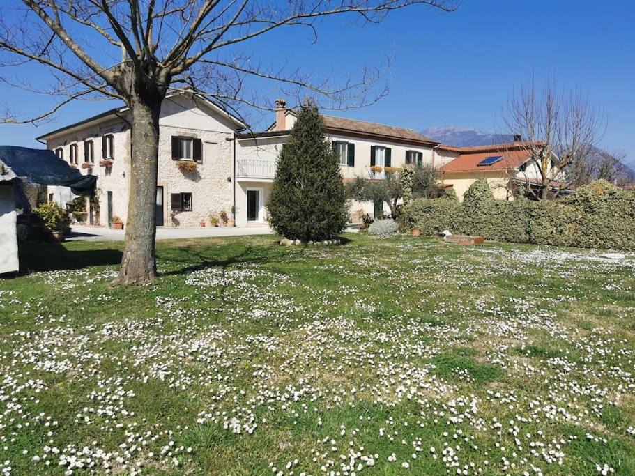 Photo of Others in Arpino