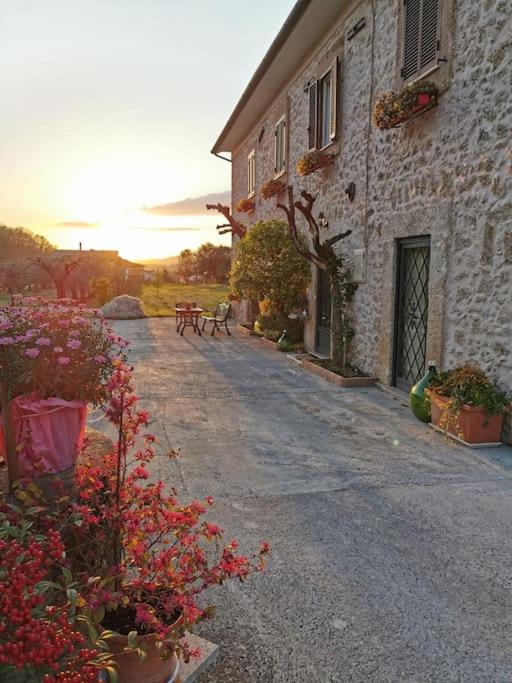 Photo of Others in Arpino