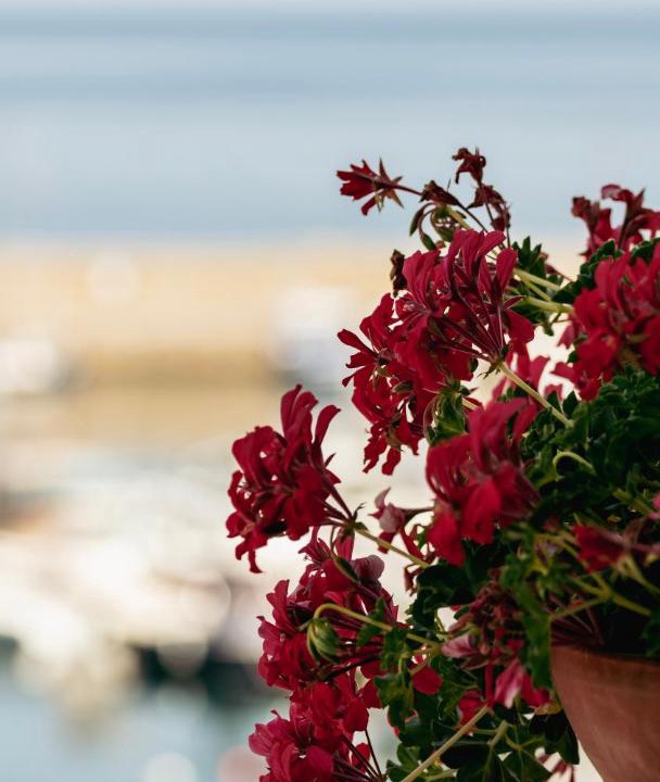 Photo of Others in San Marco di Castellabate