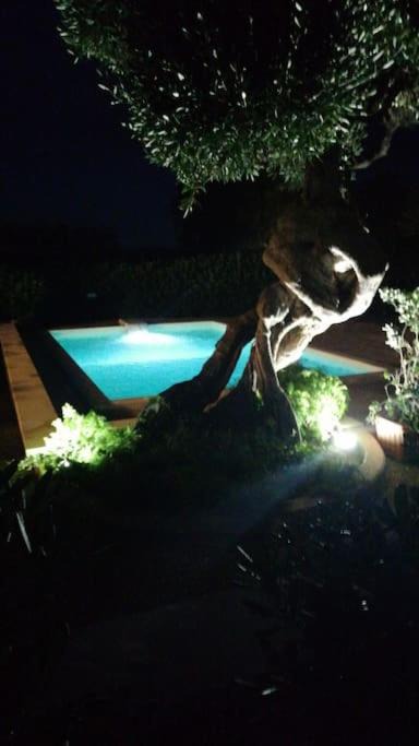 Photo of Others in L'Assunta
