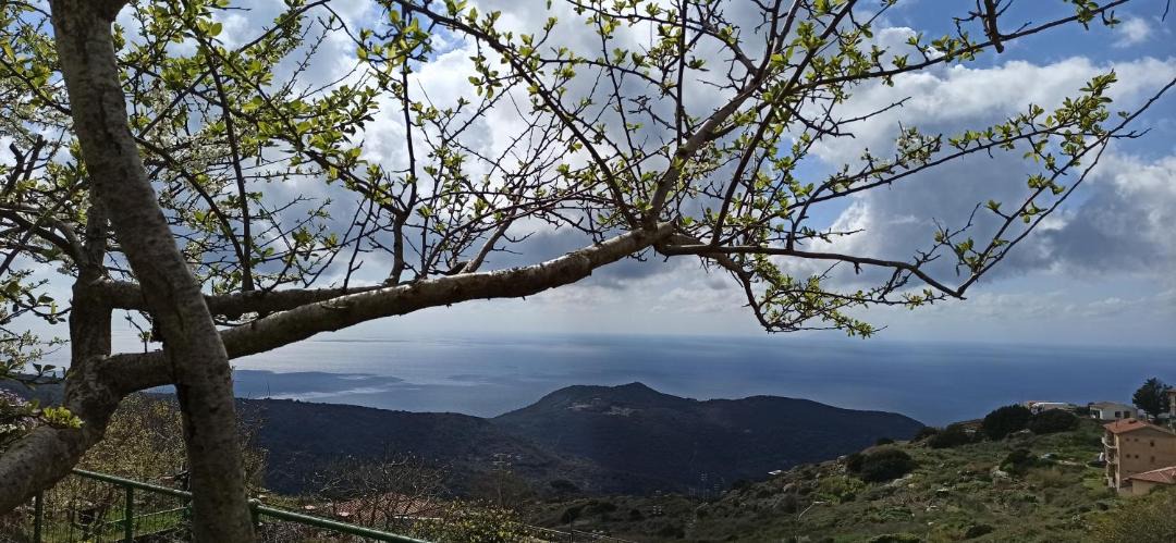 Photo of Others in Giglio Castello