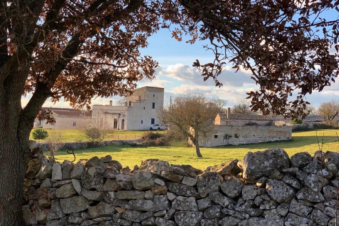 Photo of Others in Santeramo in Colle