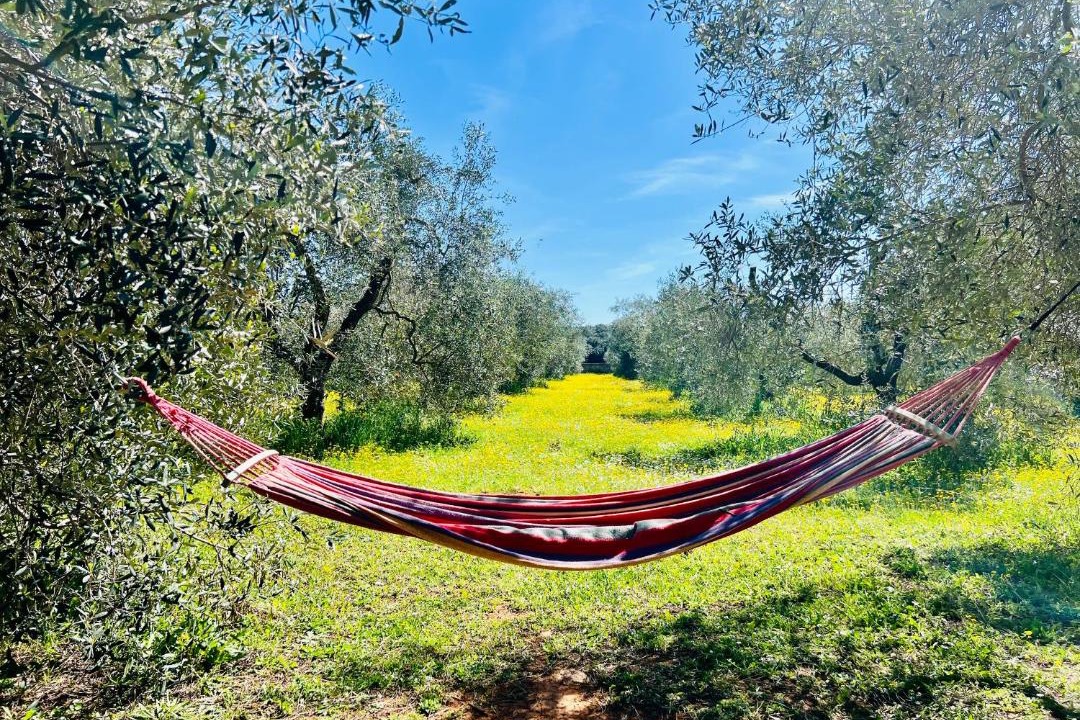 Photo of Others in Orbetello