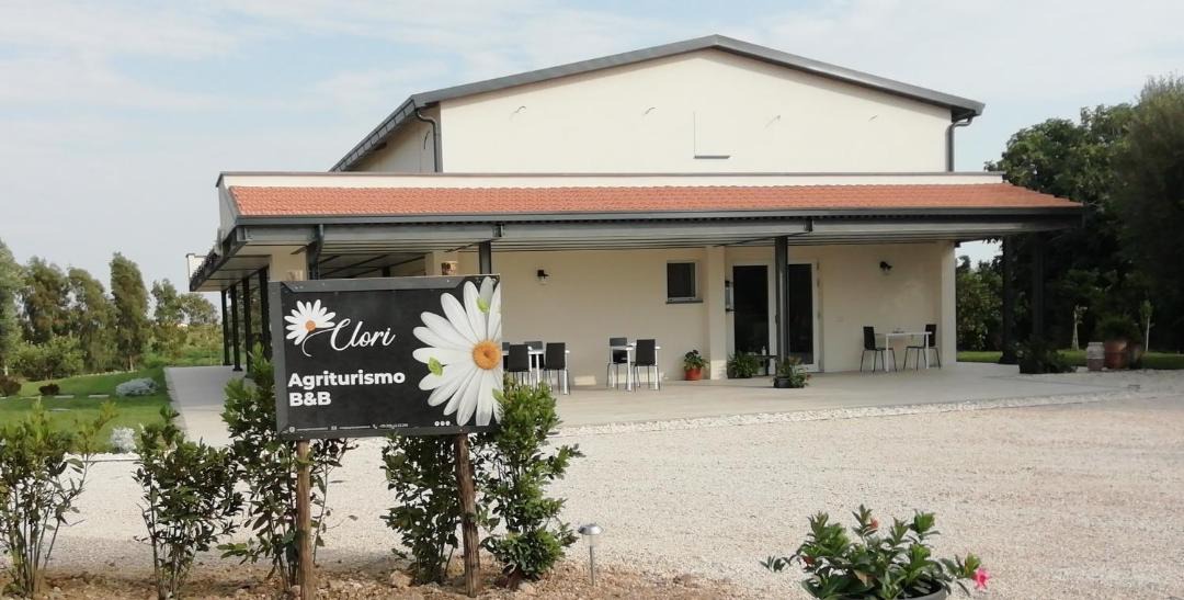 Photo of Others in Montalto di Castro