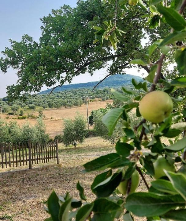 Photo of Outdoor in Semproniano