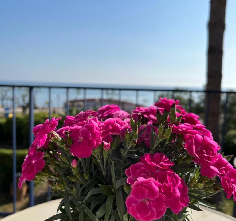 Photo of Others in Sperlonga