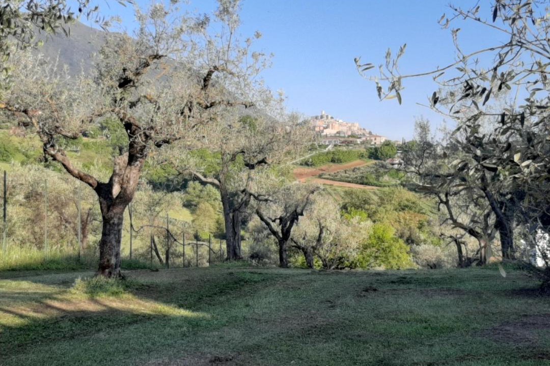 Photo of Others in Palombara Sabina