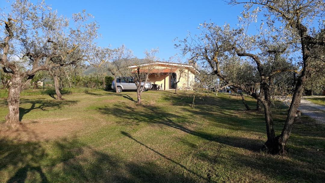 Photo of Others in Palombara Sabina