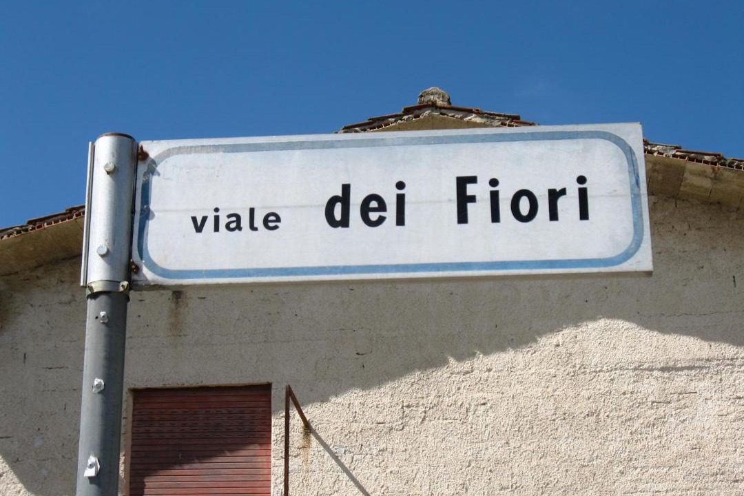Photo of Others in Manfredonia