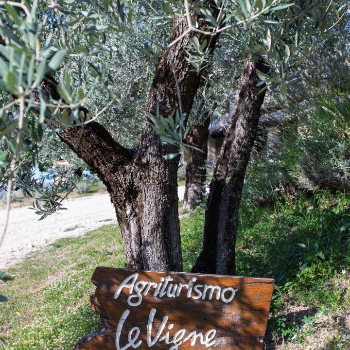Photo of Others in Foligno