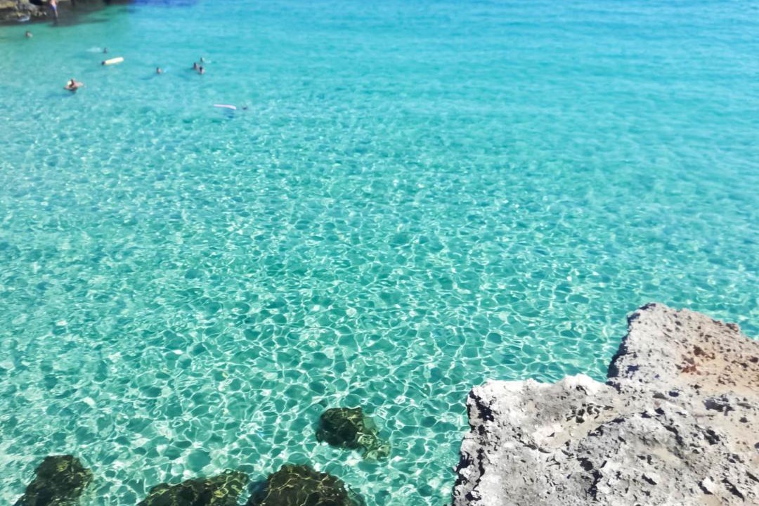 Photo of Others in Monopoli