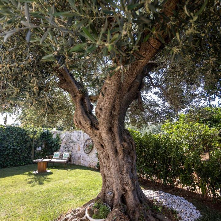 Photo of Others in San Vito dei Normanni