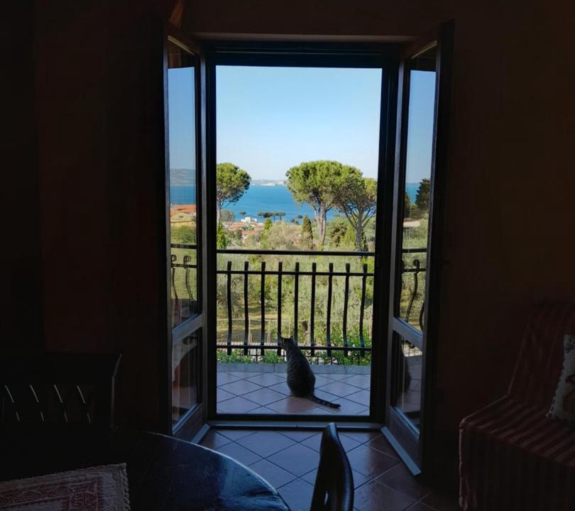 Photo of Others in Bolsena