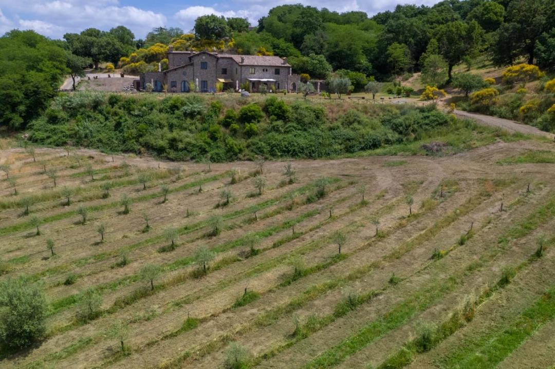 Photo of Others in Montefiascone