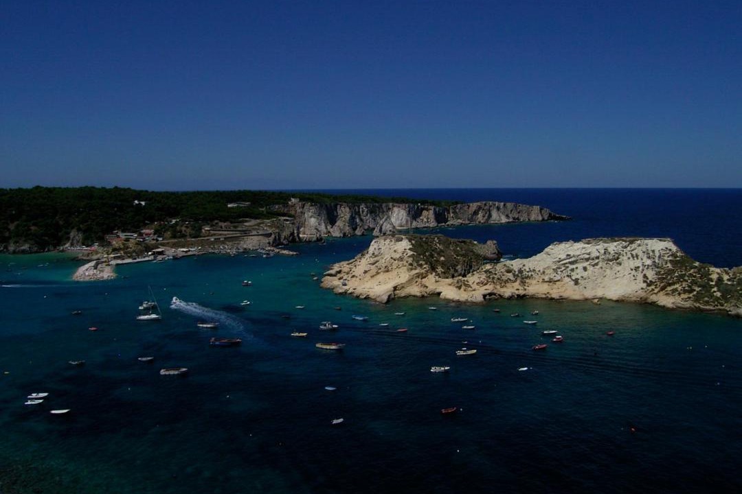 Photo of Others in Tremiti Islands