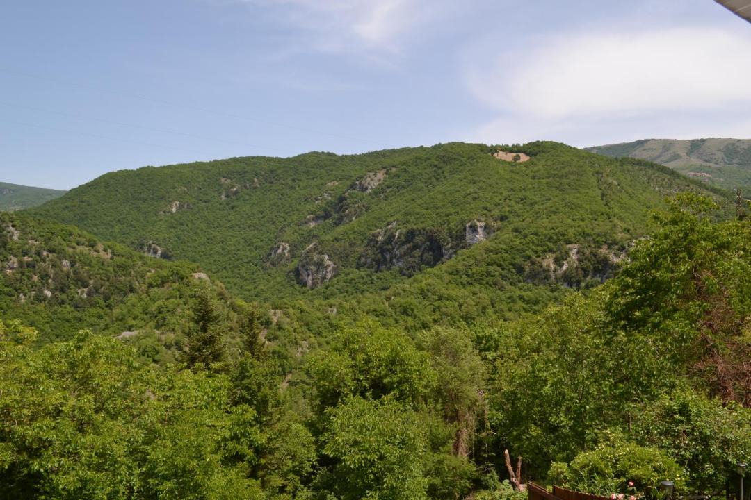 Photo of Others in Posticciola