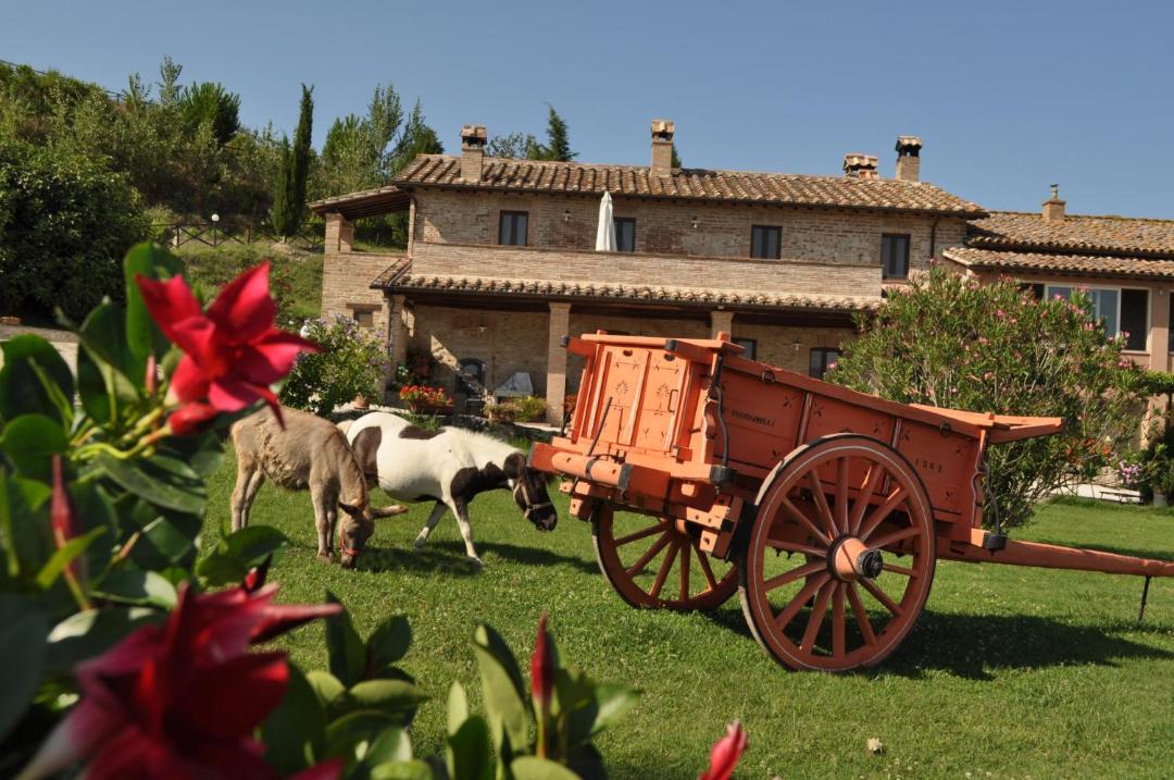 Photo of Others in Collevalenza