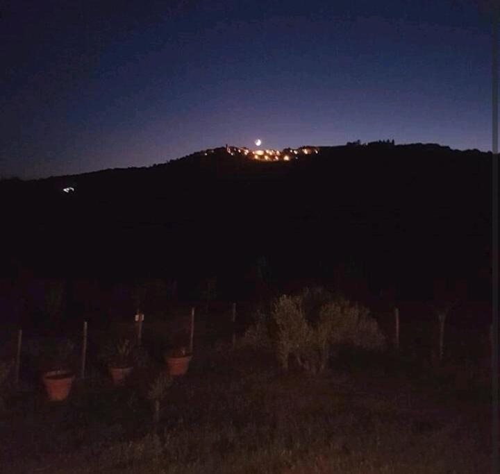 Photo of Others in Gavorrano