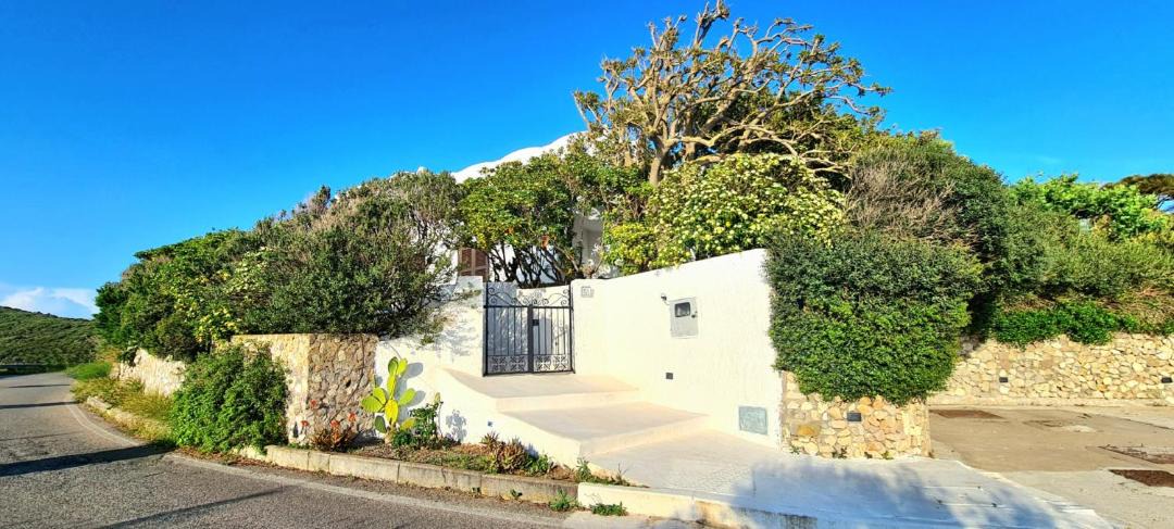 Photo of Others in Ponza
