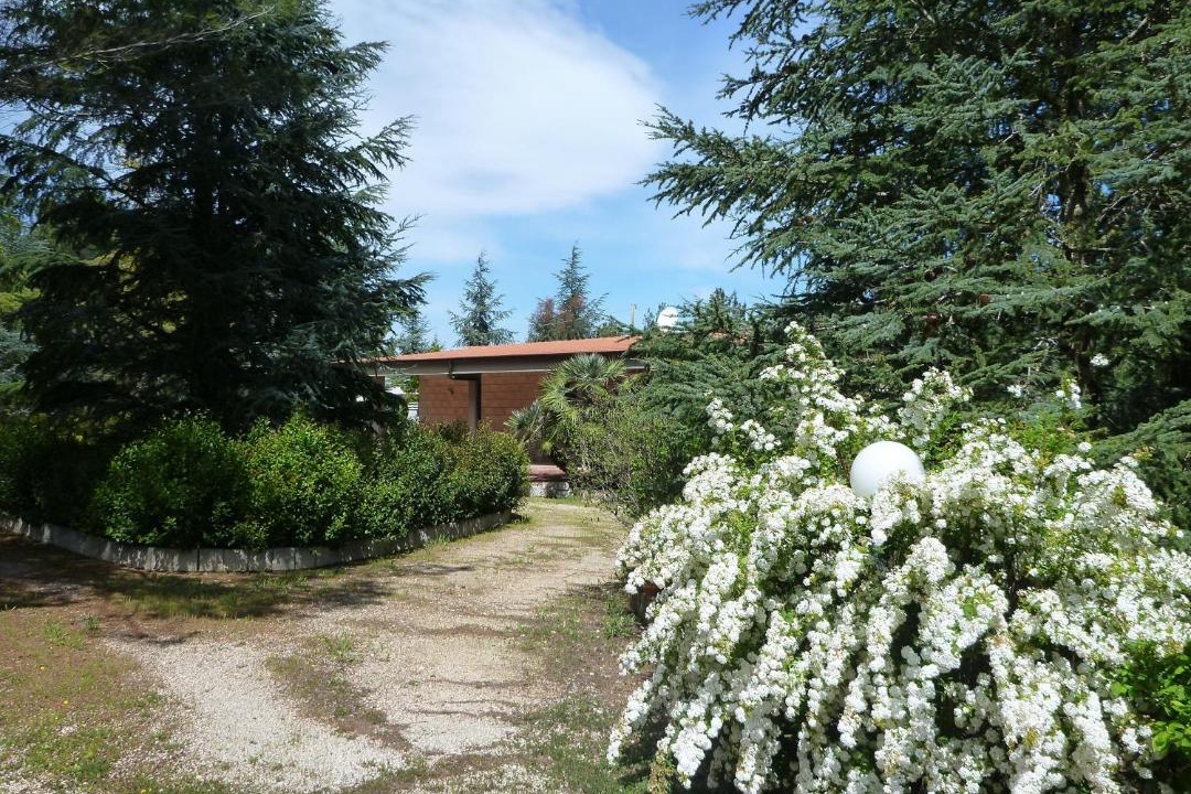 Photo of Others in Montegrosso