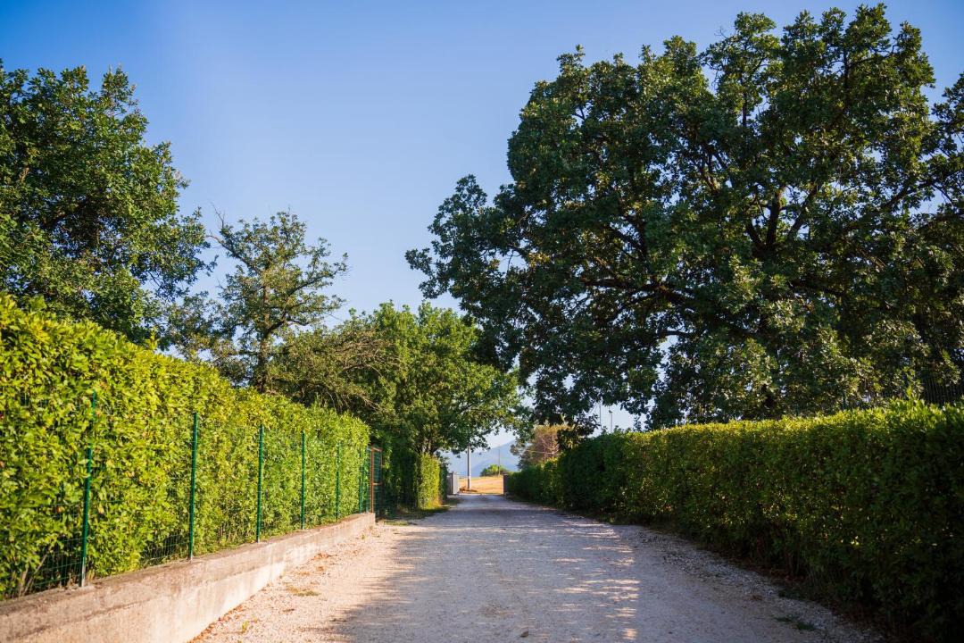 Photo of Others in Cassino