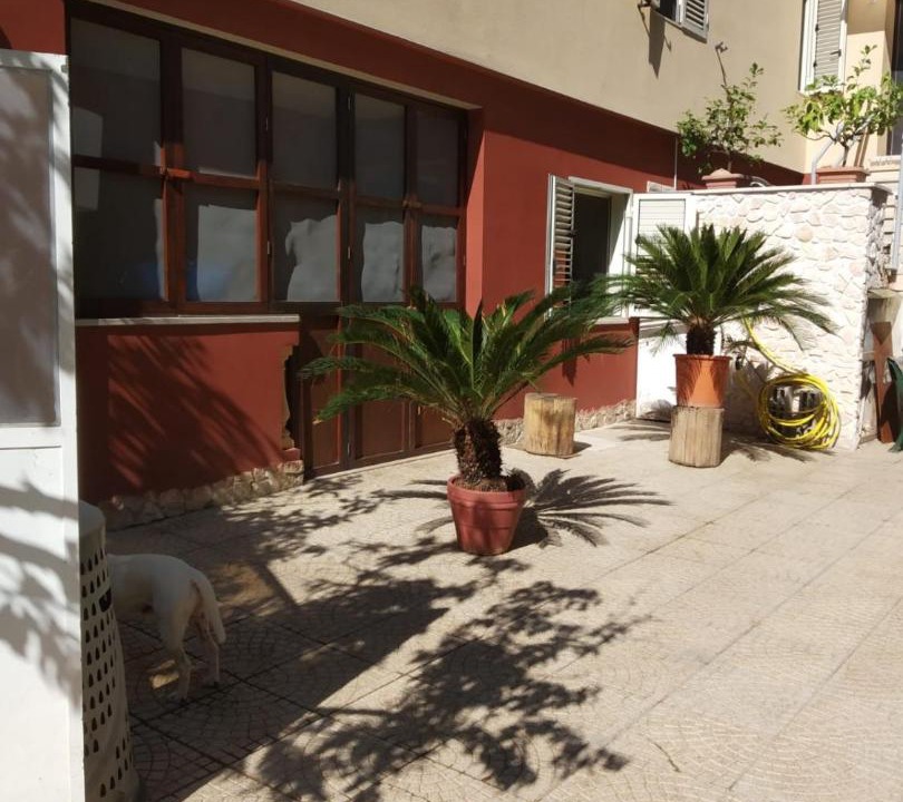 Photo of Buildings in Trani