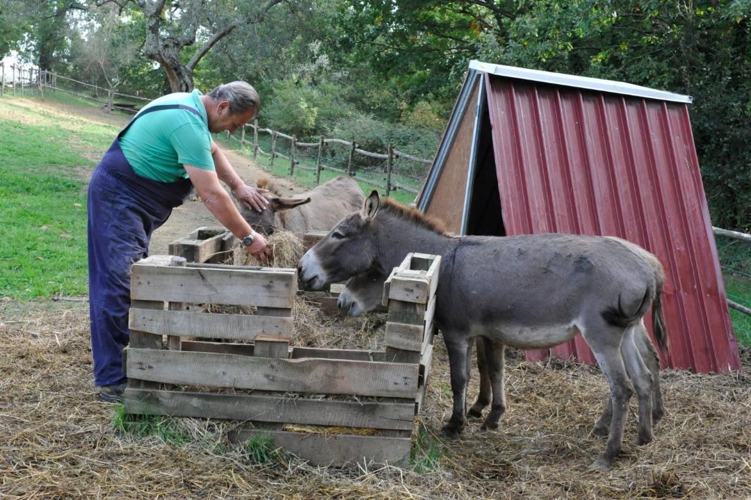 Photo of Others in Tuoro sul Trasimeno