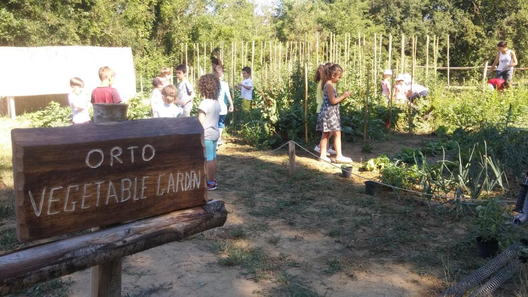 Photo of Others in Tuoro sul Trasimeno