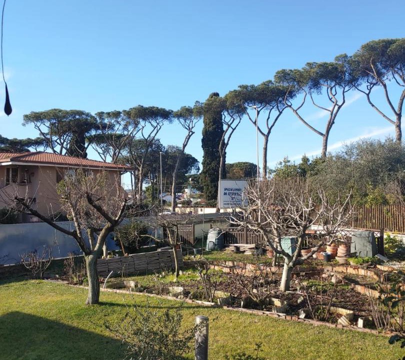 Photo of Others in Zona XXX Castel Fusano