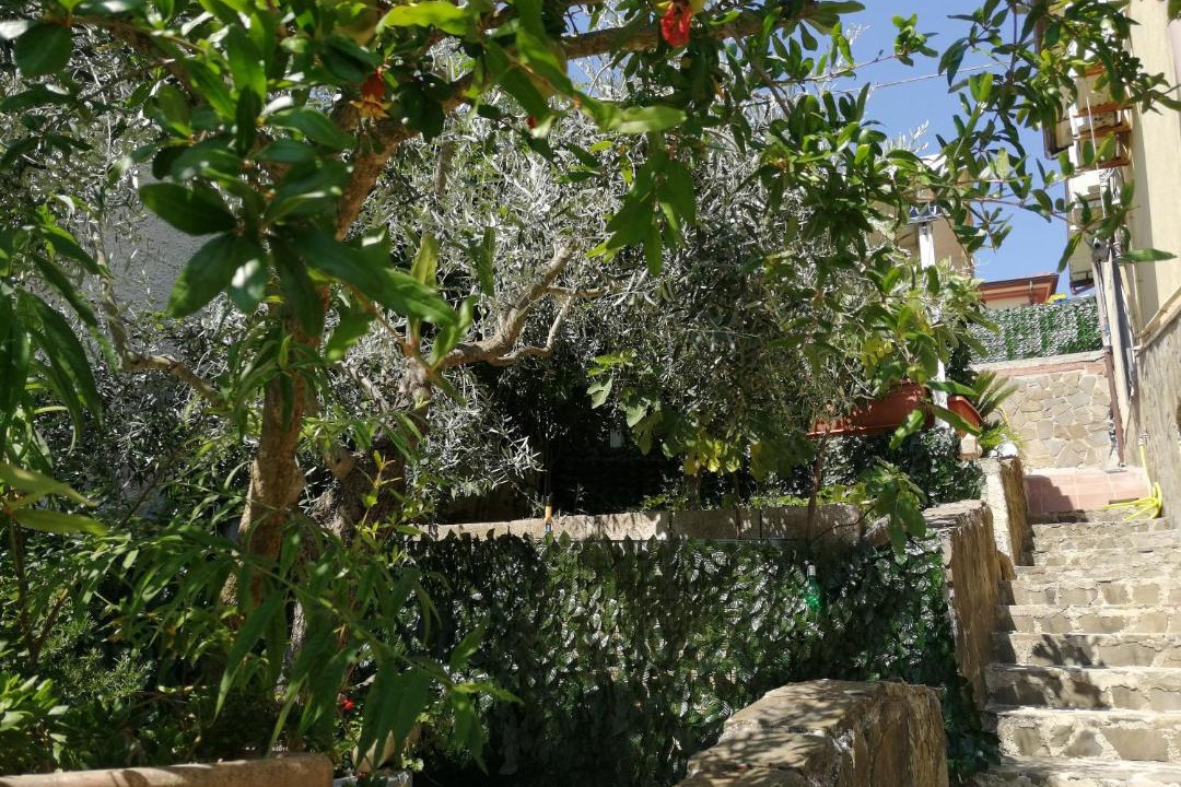 Photo of Others in Prignano Cilento