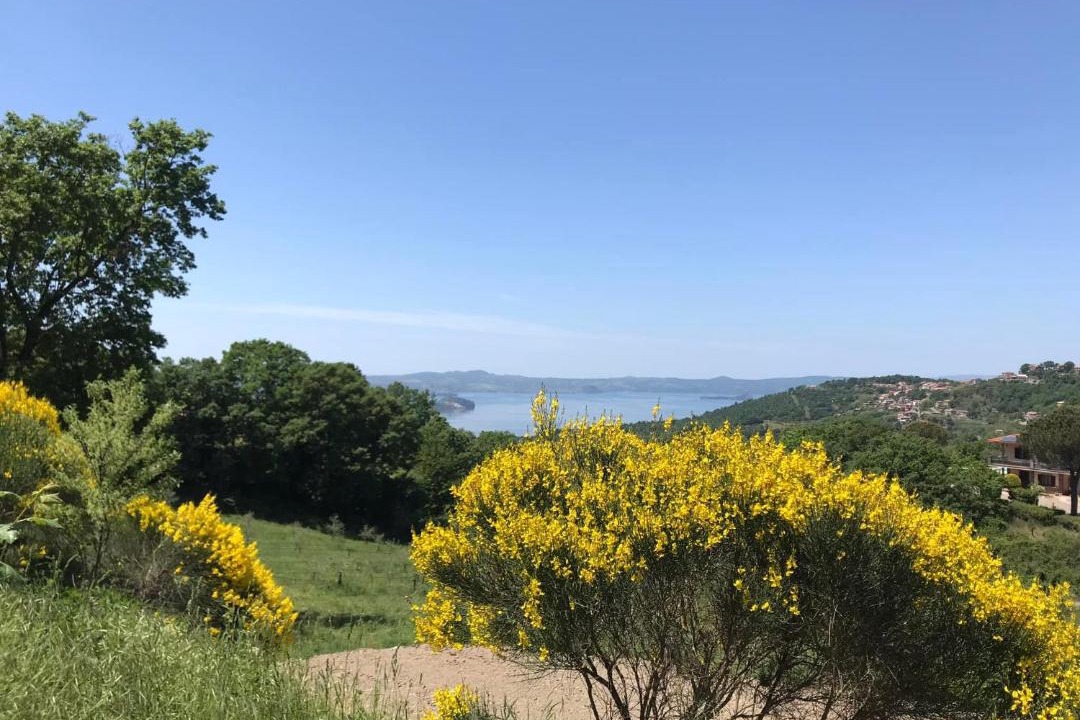 Photo of Others in Montefiascone