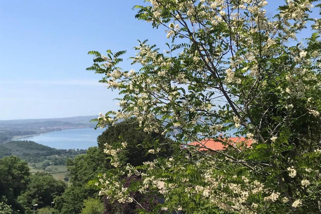 Photo of Others in Montefiascone