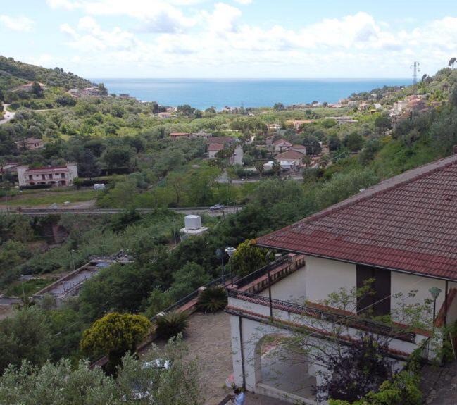 Photo of Others in Montecorice