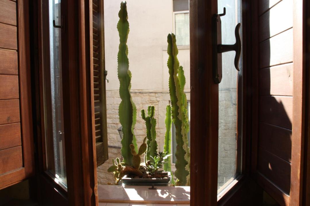 Photo of Others in Trani