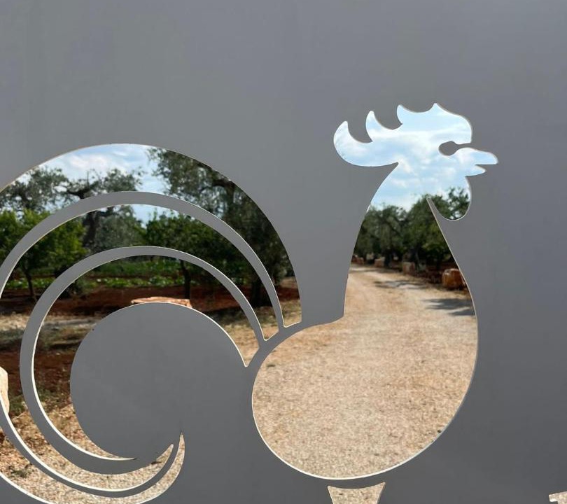 Photo of Others in Alberobello