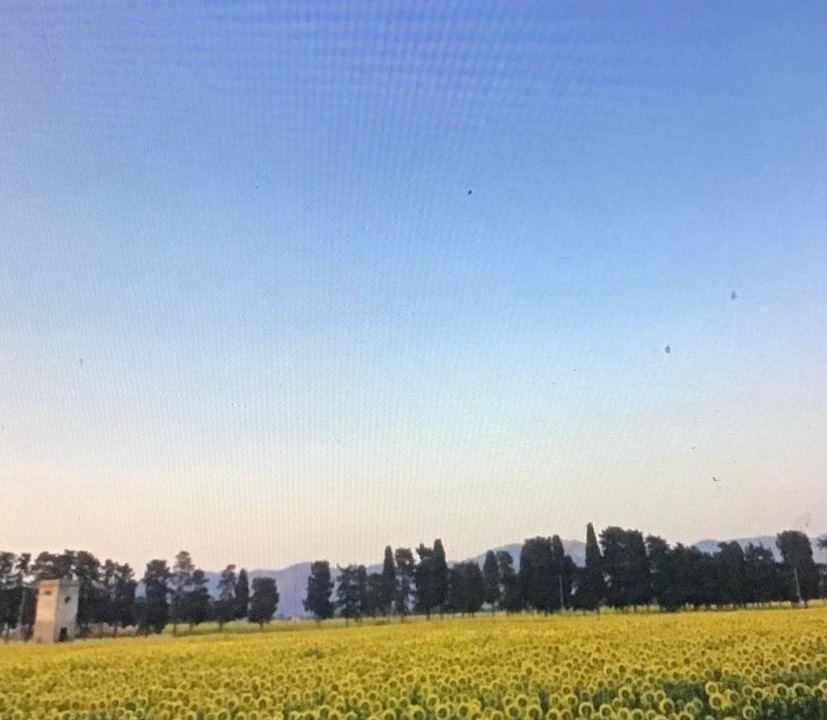 Photo of Outdoor in Salto Covino