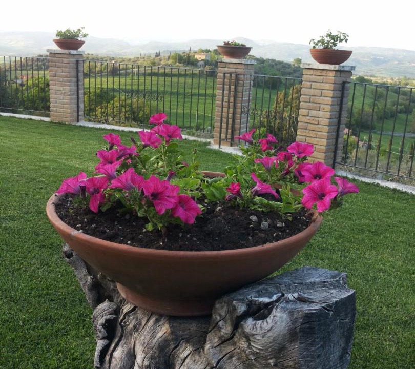 Photo of Others in Montemerano