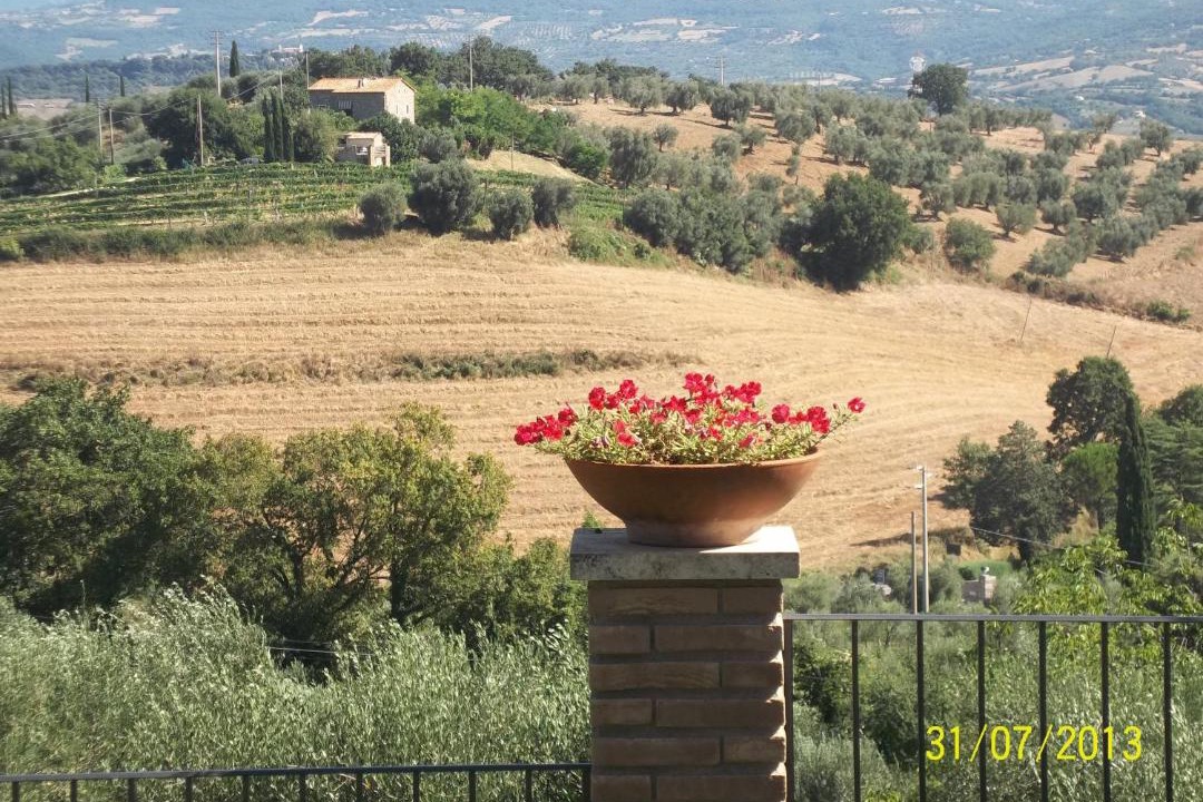 Photo of Others in Montemerano