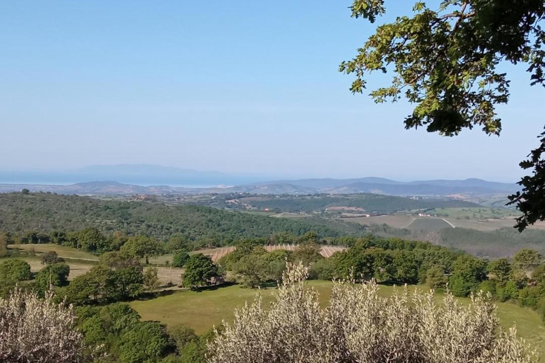 Photo of Others in Scansano