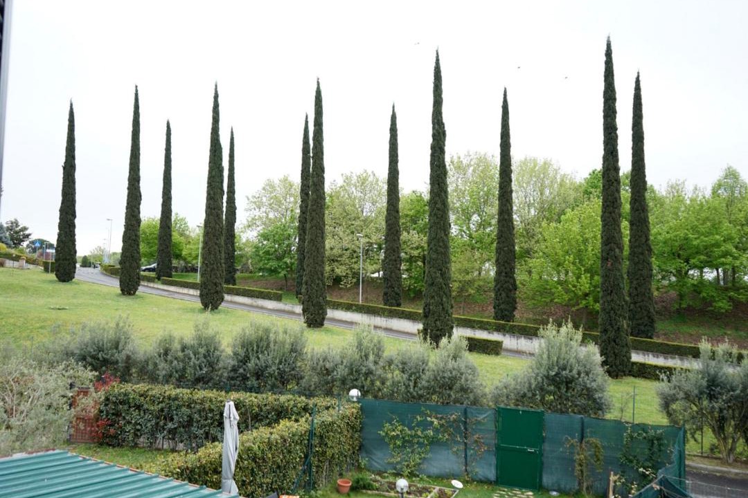 Photo of Others in Rome Province