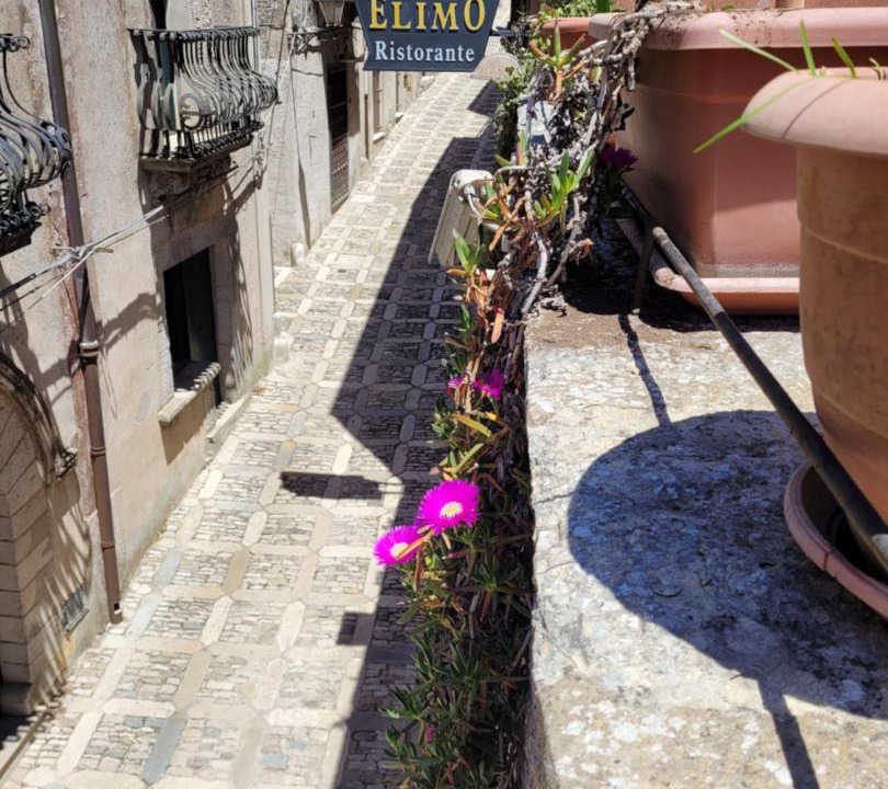 Photo of Others in Erice