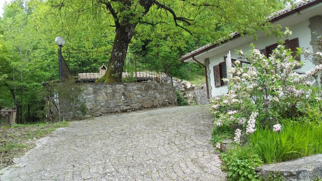 Photo of Others in Bellegra