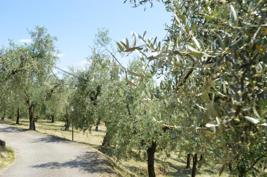 Photo of Others in Margine Coperta-Traversagna