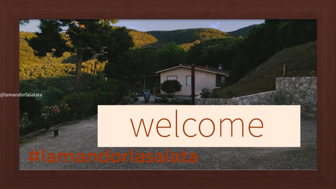 Photo of Others in Capoliveri
