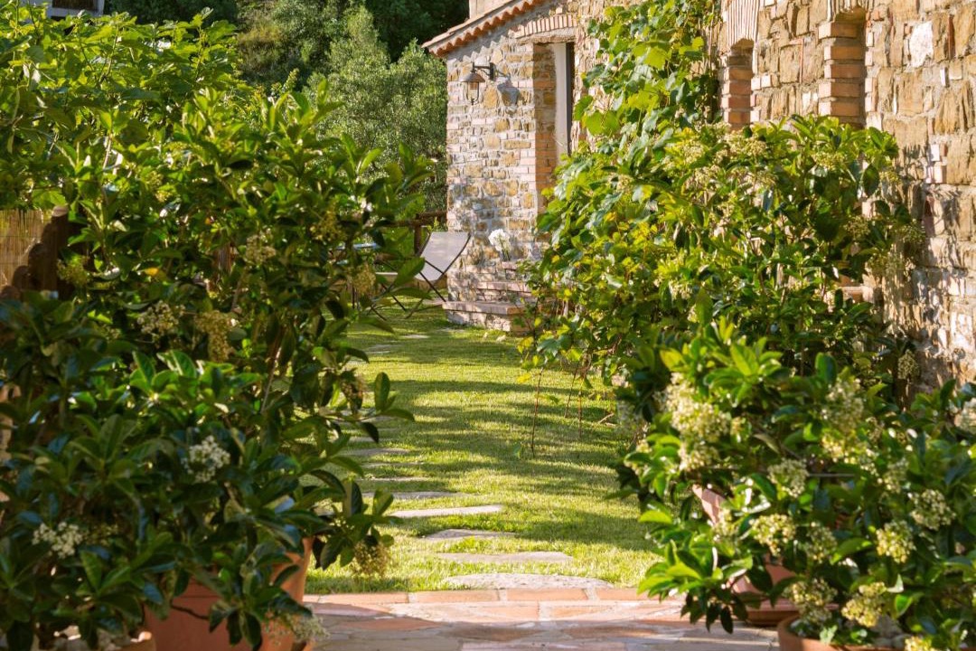 Photo of Others in Casal Velino