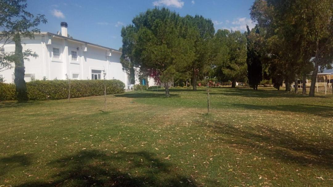 Photo of Others in Manfredonia