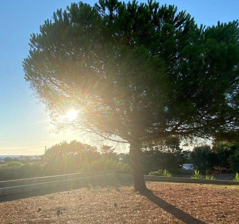 Photo of Outdoor in Lido Marini