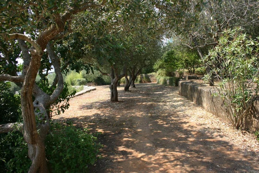 Photo of Others in Marina Serra