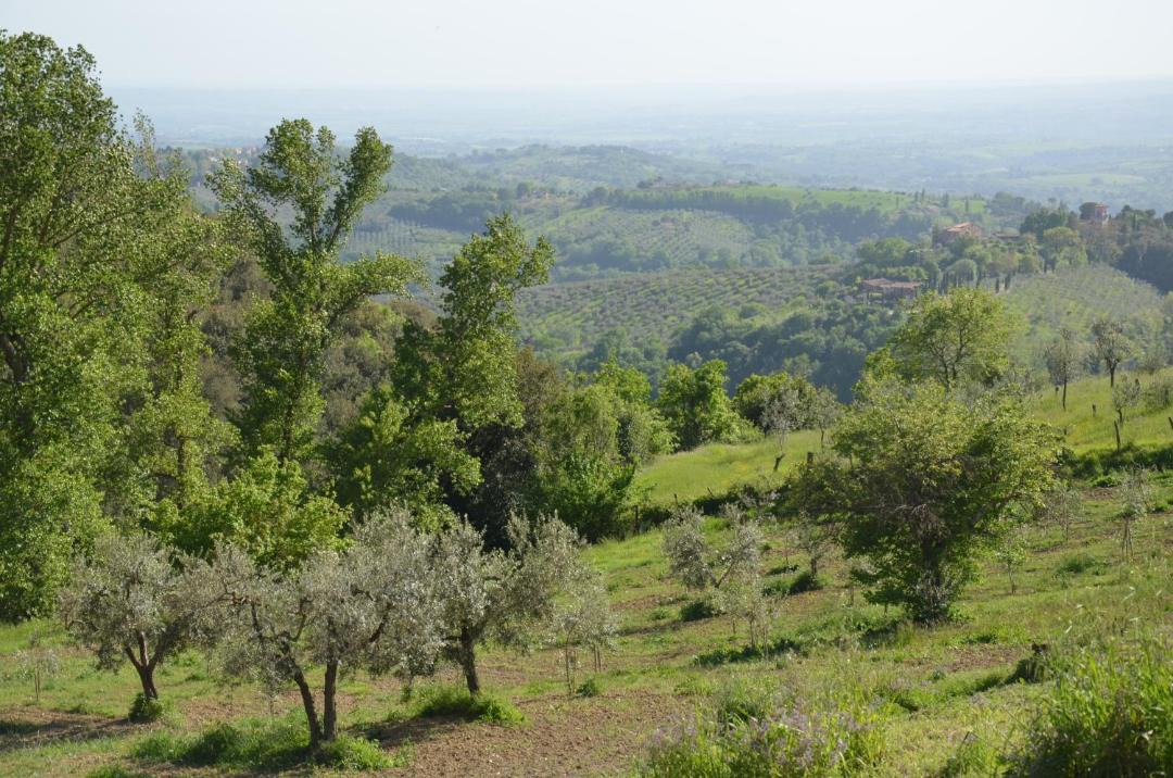 Photo of Others in Poggio Mirteto