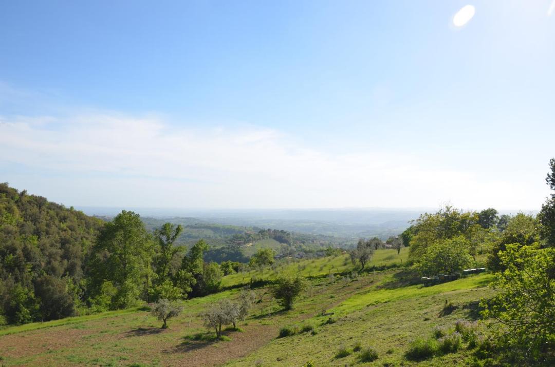 Photo of Others in Poggio Mirteto